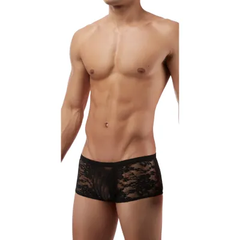 Itspleazure Black Mesh See Through Brief