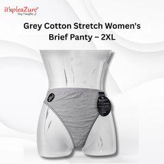 ItspleaZure's Grey Stretch Cotton Brief Panty for Women – 2XL