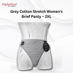 ItspleaZure's Grey Stretch Cotton Brief Panty for Women – 2XL