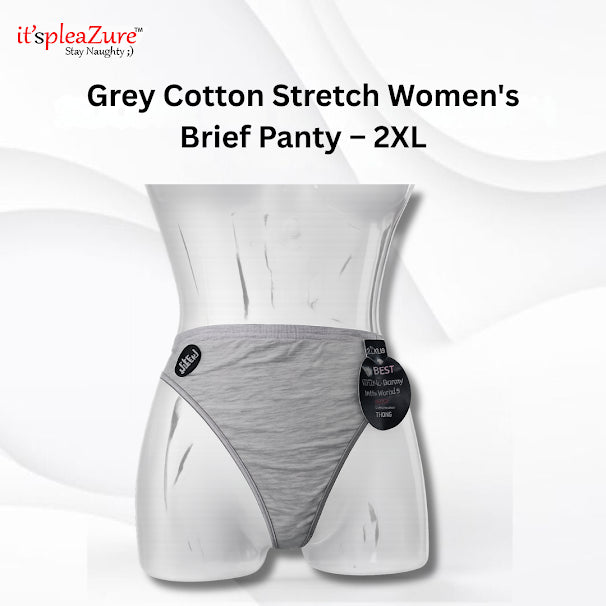 ItspleaZure's Grey Stretch Cotton Brief Panty for Women – 2XL